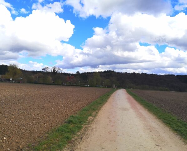 Weg zwischen Feldern mit Haufenwolken und blauem Himmel