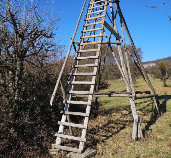 Leiter zu einem Hochstand