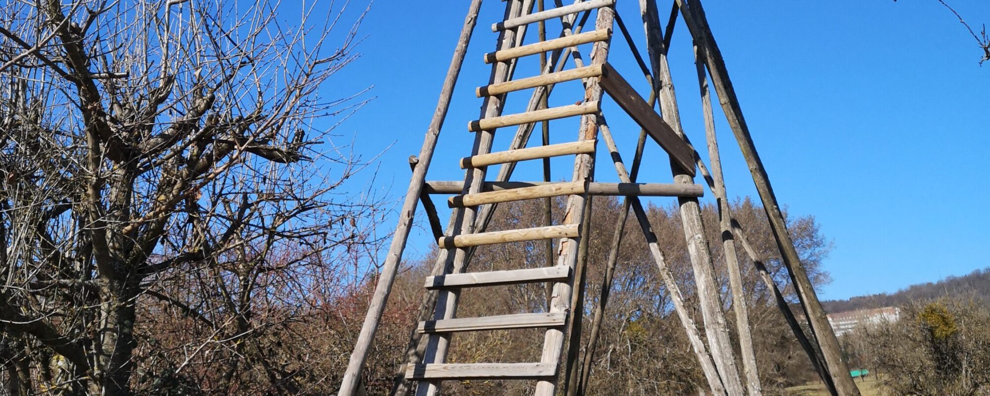 Hochstand auf einer Wiese vor blauem Himmel