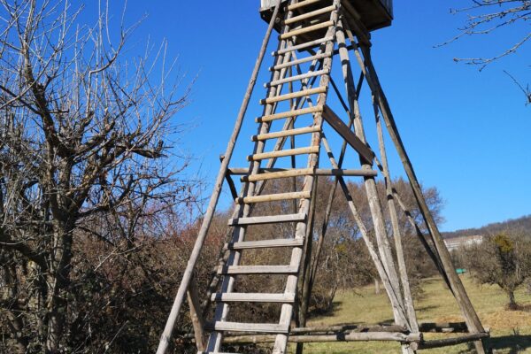 Hochstand auf einer Wiese vor blauem Himmel