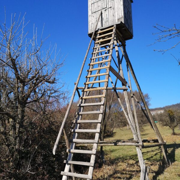 Hochstand auf einer Wiese vor blauem Himmel